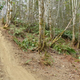 Image for article titled Here's How The 2016 Toyota Tacoma Looks Off-Road